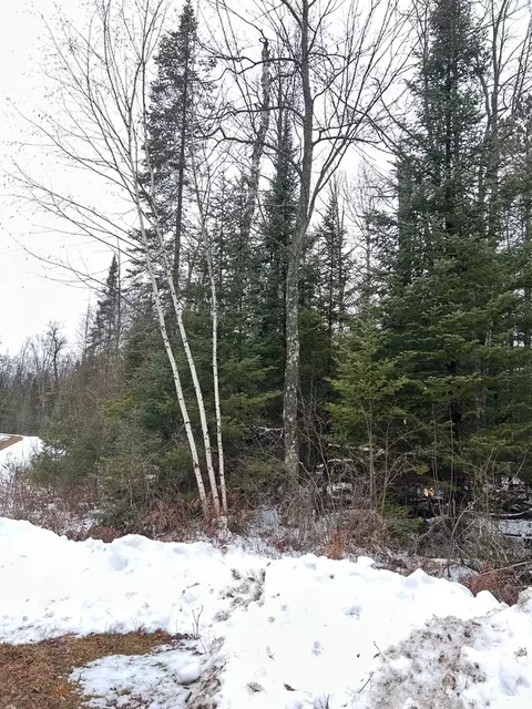 lot2 Branch Rd, Tomahawk, WI 54487 photo 13