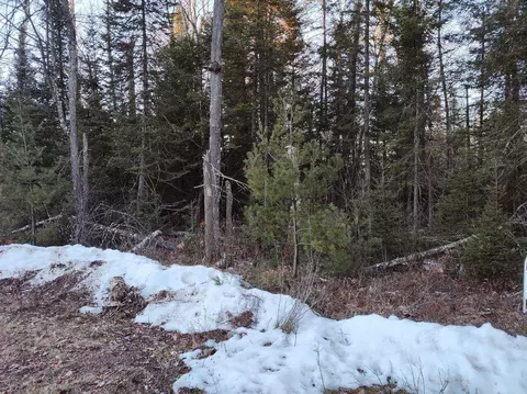 lot2 Branch Rd, Tomahawk, WI 54487 photo 5