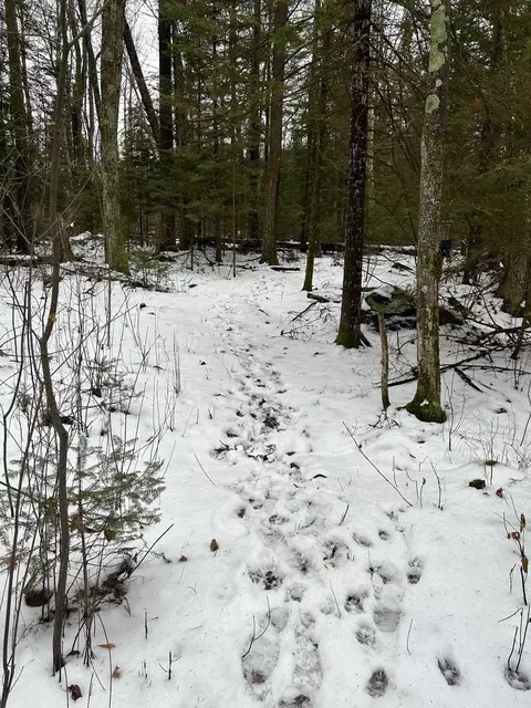 lot2 Branch Rd, Tomahawk, WI 54487 photo 17