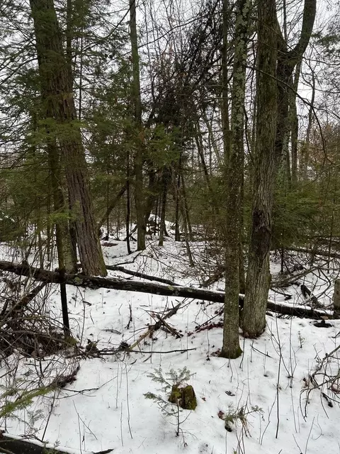 lot2 Branch Rd, Tomahawk, WI 54487 photo 19