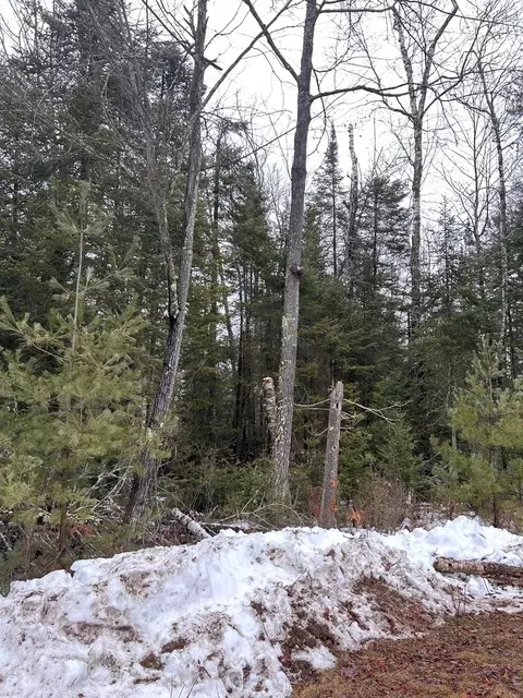 lot2 Branch Rd, Tomahawk, WI 54487 photo 12