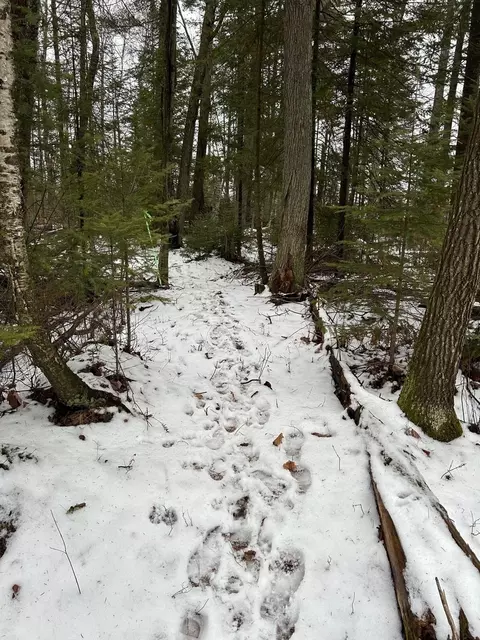 lot2 Branch Rd, Tomahawk, WI 54487 photo 18