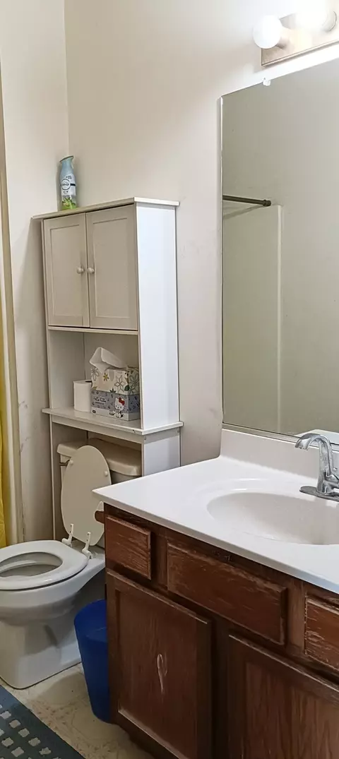 Bath - 720 Cheyenne Ln, Elgin, IL 60123 photo 1 of 2