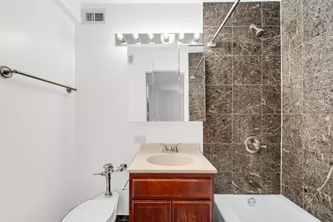 222 E Pearson St #603, Chicago, IL 60611 photo 11