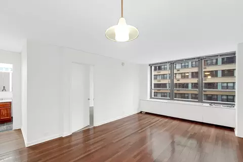 222 E Pearson St #603, Chicago, IL 60611 photo 6