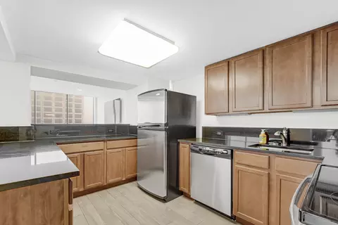 222 E Pearson St #603, Chicago, IL 60611 photo 15