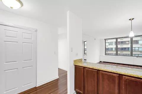 222 E Pearson St #603, Chicago, IL 60611 photo 5