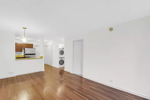 222 E Pearson St #603, Chicago, IL 60611 photo 7