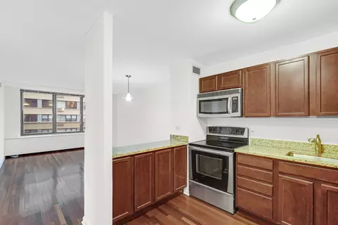 222 E Pearson St #603, Chicago, IL 60611 photo 3