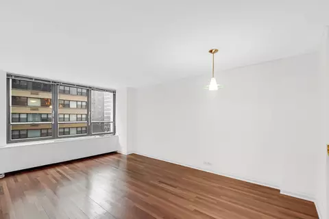222 E Pearson St #603, Chicago, IL 60611 photo 8