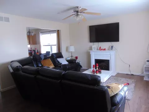 Living - 419 Davidson Dr, Minooka, IL 60447 photo 2 of 2