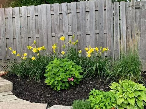 1221 E Illinois St, Wheaton, IL 60187 photo 36