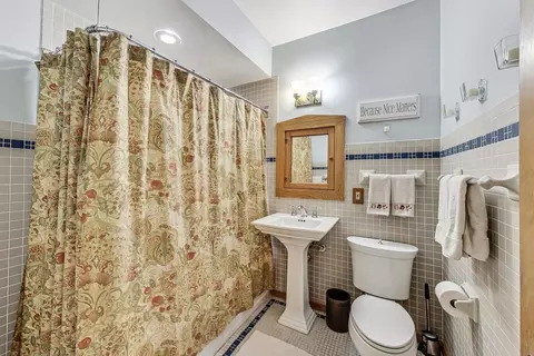 725 Forest Ave, River Forest, IL 60305 photo 17
