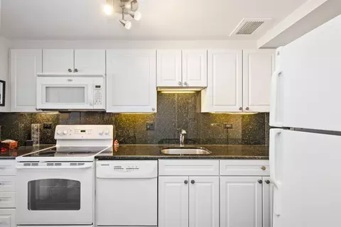 Kitchen - 175 E Delaware Pl #5303, Chicago, IL 60611 photo 1 of 2