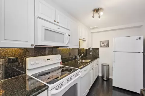 Kitchen - 175 E Delaware Pl #5303, Chicago, IL 60611 photo 2 of 2