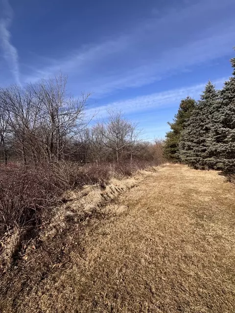 18538 Holly Rd, Morrison, IL 61270 photo 23