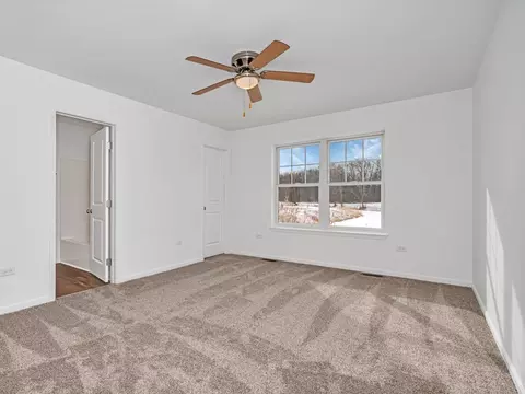 1075 Madison Ave, Braidwood, IL 60408 photo 14