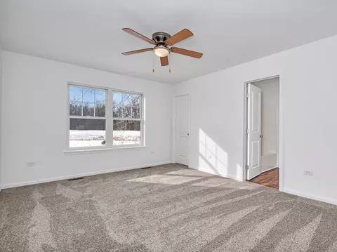 1077 Madison Ave, Braidwood, IL 60408 photo 13