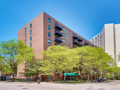 3900 N Pine Grove Ave #408, Chicago, IL 60613