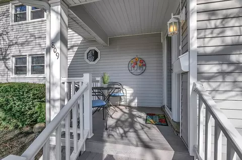 Exterior - 809 Warner Ave, Lemont, IL 60439 photo 3 of 5