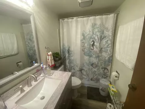 Bath - 5600 Astor Ln #201, Rolling Meadows, IL 60008 photo 1 of 1