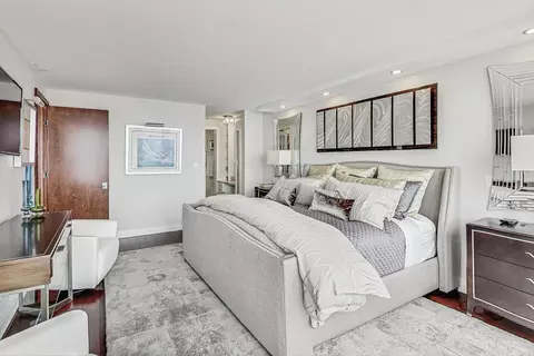 200 E Delaware Pl #30C, Chicago, IL 60611 photo 28