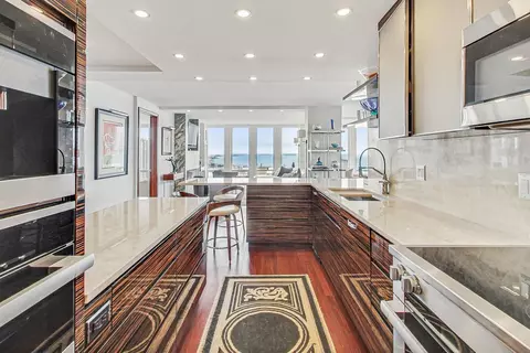 200 E Delaware Pl #30C, Chicago, IL 60611 photo 24