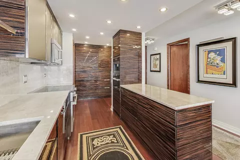 200 E Delaware Pl #30C, Chicago, IL 60611 photo 23
