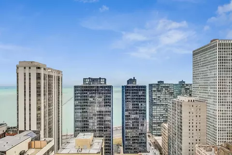 200 E Delaware Pl #30C, Chicago, IL 60611 photo 17