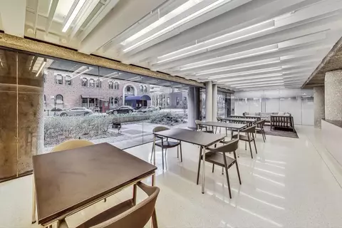 200 E Delaware Pl #30C, Chicago, IL 60611 photo 46