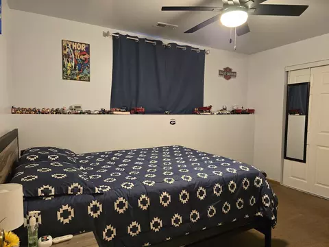 Bedroom - 26018 W Marshall Ave, Ingleside, IL 60041 photo 6 of 8