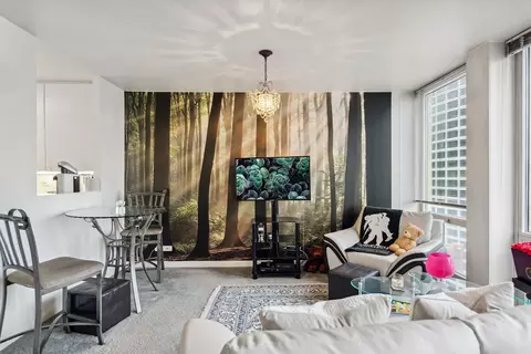 Living - 111 E Chestnut St #29E, Chicago, IL 60611 photo 1 of 3