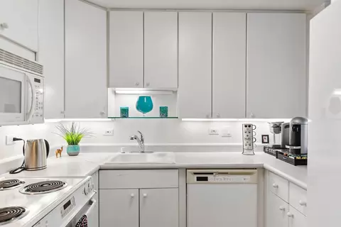 Kitchen - 111 E Chestnut St #29E, Chicago, IL 60611 photo 1 of 3