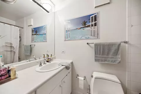 Bath - 111 E Chestnut St #29E, Chicago, IL 60611 photo 1 of 1