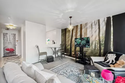 Living - 111 E Chestnut St #29E, Chicago, IL 60611 photo 2 of 3