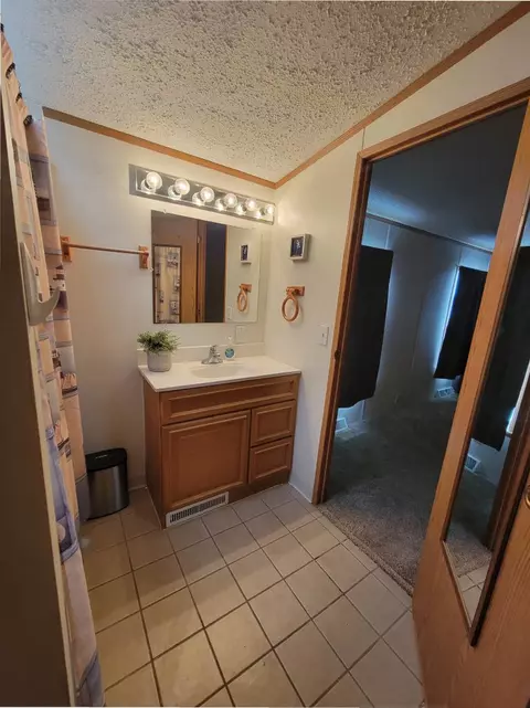 25800 S Olympic Dr #68, Monee, IL 60449 photo 14