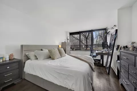 222 E Pearson St #204, Chicago, IL 60611 photo 13