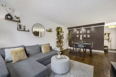 222 E Pearson St #204, Chicago, IL 60611 photo 5