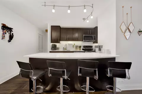 222 E Pearson St #204, Chicago, IL 60611 photo 9