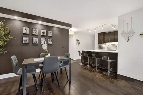 222 E Pearson St #204, Chicago, IL 60611 photo 6
