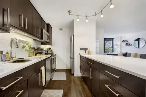 222 E Pearson St #204, Chicago, IL 60611 photo 8