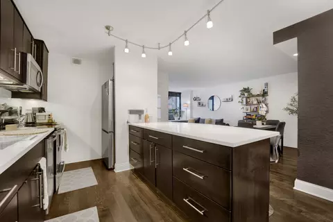 222 E Pearson St #204, Chicago, IL 60611 photo 7