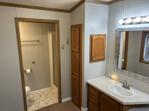 12 Walnut, Minooka, IL 60447 photo 11