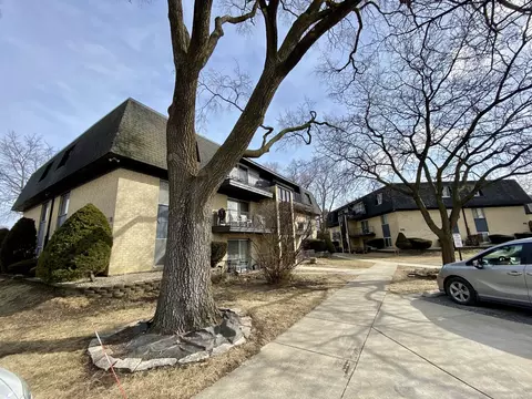 11110 S 84th Ave #1B, Palos Hills, IL 60465
