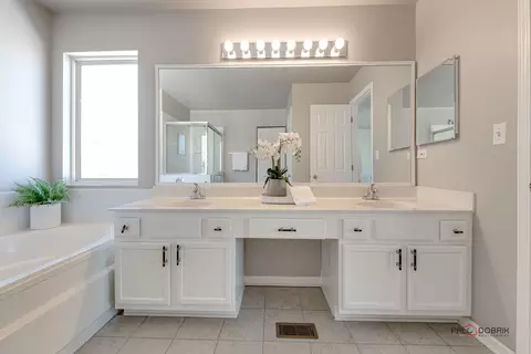 Bath - 5295 Shotkoski Dr, Hoffman Estates, IL 60192 photo 2 of 5