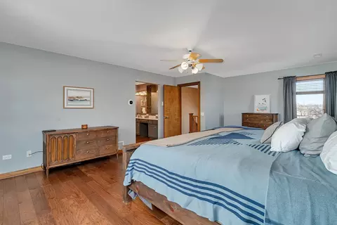 Bedroom - 210 Barefoot Ct, Minooka, IL 60447 photo 2 of 11