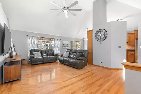 25062 Michele Dr, Plainfield, IL 60544 photo 4