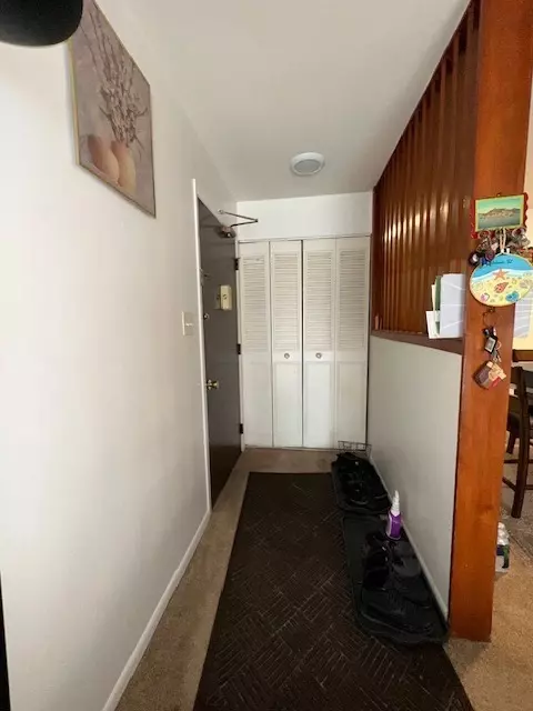 Entry Way - 560 Mesa Dr #206, Hoffman Estates, IL 60169 photo 1 of 1