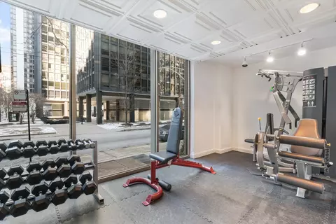 Other - 253 E Delaware Pl #13D, Chicago, IL 60611 photo 5 of 6