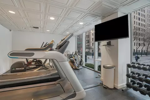 Other - 253 E Delaware Pl #13D, Chicago, IL 60611 photo 4 of 6